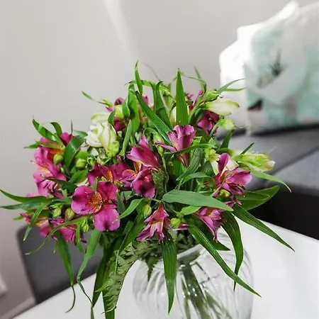 Pepes Appartamento *